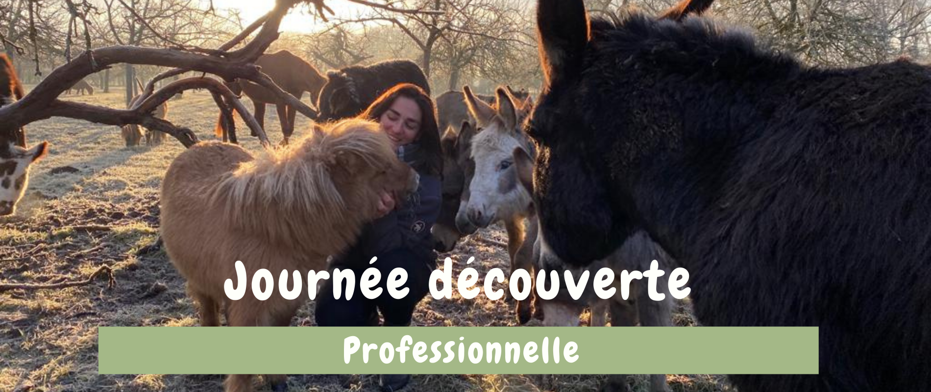 journée découverte professionnelle Normandie Domaine de Ouezy CALVADOS