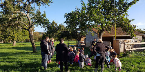 activités autour de la pomme